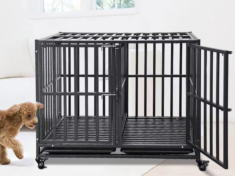 Dog Cages in House