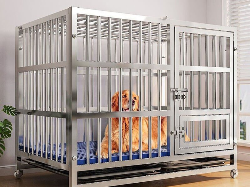 Dog Kennel Wholesale for Your Own Dog